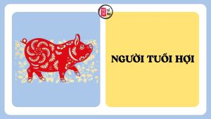 Trang chủ 4 Ai có người quen tuổi Hợi, hãy hiểu những điều này về họ