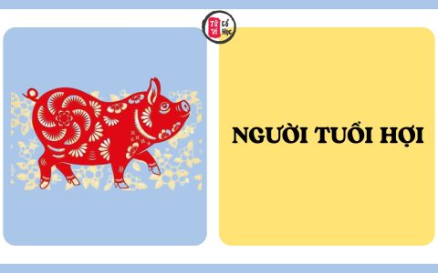 Ai có người quen tuổi Hợi, hãy hiểu những điều này về họ 4 Ai có người quen tuổi Hợi, hãy hiểu những điều này về họ