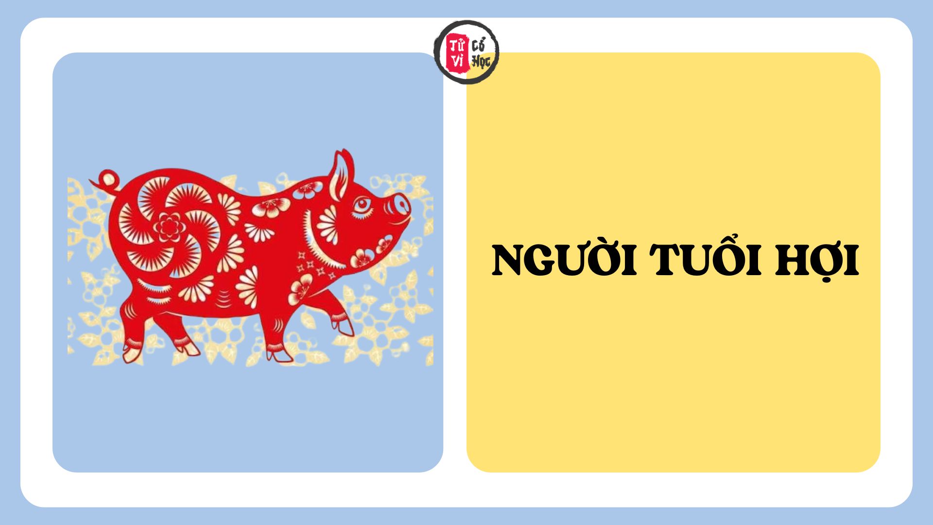 Ai có người quen tuổi Hợi, hãy hiểu những điều này về họ | Tử Vi Cổ Học