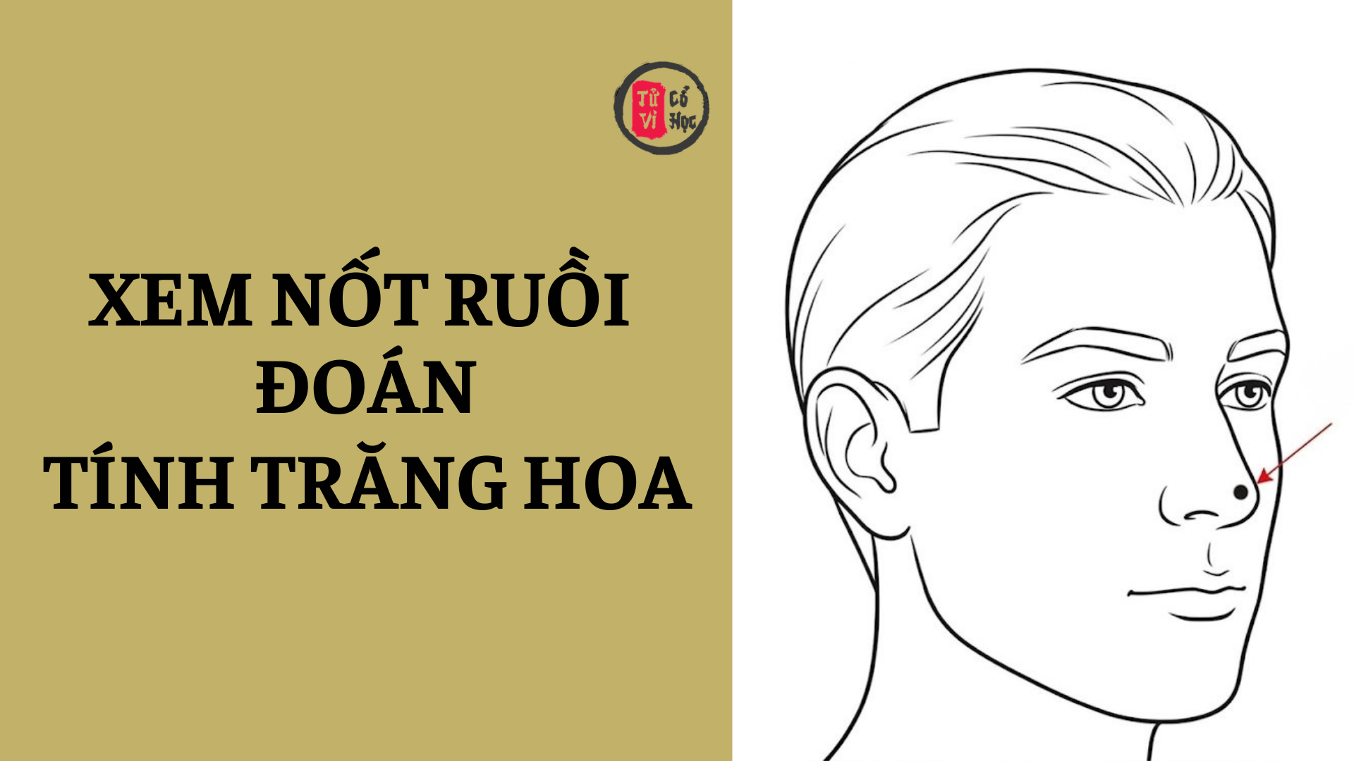 Nốt ruồi tố cáo đàn ông có thói trăng hoa 2 Nốt ruồi tố cáo đàn ông có thói trăng hoa | Tử Vi Cổ Học