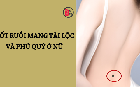 Ý nghĩa may mắn của 6 nốt ruồi phú quý trên “tấm lưng ngọc ngà” của phụ nữ 4 Ý nghĩa may mắn của 6 nốt ruồi phú quý trên “tấm lưng ngọc ngà” của phụ nữ