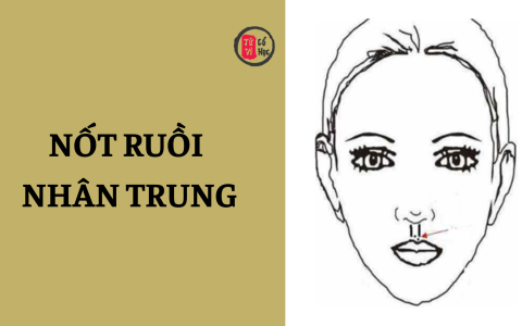 Nốt ruồi ở nhân trung có ý nghĩa gì? 12 Nốt ruồi ở nhân trung có ý nghĩa gì?