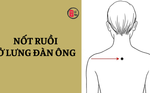 Ý nghĩa nốt ruồi ở lưng đàn ông 11 Ý nghĩa nốt ruồi ở lưng đàn ông