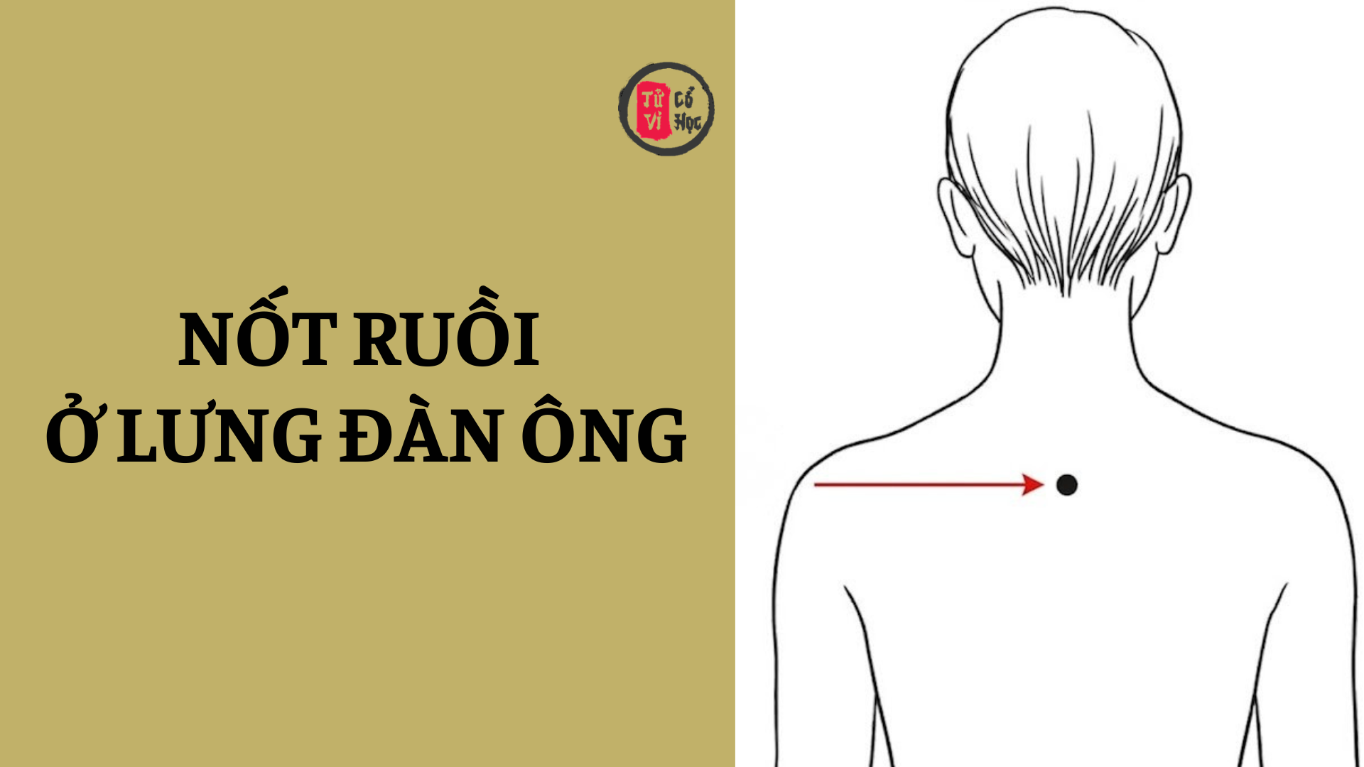 Ý nghĩa nốt ruồi ở lưng đàn ông 2 Ý nghĩa nốt ruồi ở lưng đàn ông | Tử Vi Cổ Học