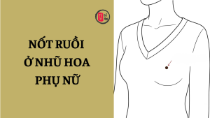 Trang chủ 41 Nốt ruồi ở nhũ hoa phụ nữ có ý nghĩa gì?