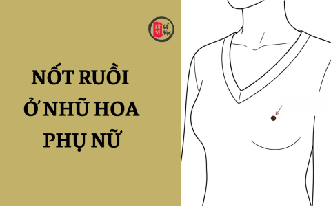 Nốt ruồi ở nhũ hoa phụ nữ có ý nghĩa gì? 11 Nốt ruồi ở nhũ hoa phụ nữ có ý nghĩa gì?