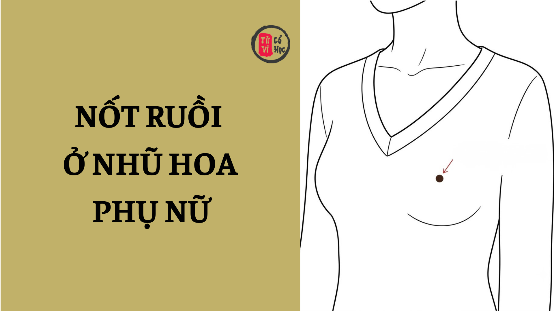Nốt ruồi ở nhũ hoa phụ nữ có ý nghĩa gì? 2 Nốt ruồi ở nhũ hoa phụ nữ có ý nghĩa gì? | Tử Vi Cổ Học