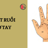 Nốt ruồi ở tay ăn vay cả đời nghĩa là gì? 6 Nốt ruồi ở tay ăn vay cả đời nghĩa là gì? | Tử Vi Cổ Học
