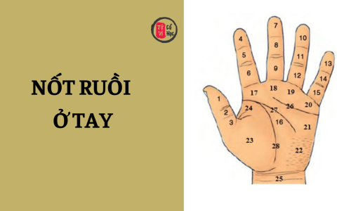 Nốt ruồi ở tay ăn vay cả đời nghĩa là gì? 4 Nốt ruồi ở tay ăn vay cả đời nghĩa là gì?