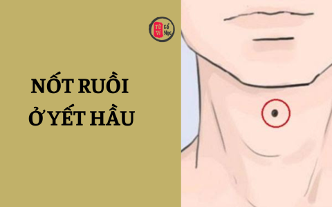 Nốt ruồi ở yết hầu là tốt hay xấu? 23 Nốt ruồi ở yết hầu là tốt hay xấu?