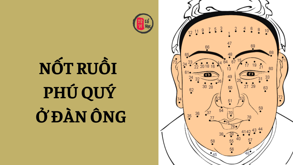 Nốt ruồi phú quý ở đàn ông 1 Nốt ruồi phú quý ở đàn ông | Tử Vi Cổ Học