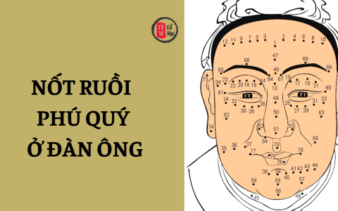 Nốt ruồi phú quý ở đàn ông 16 Nốt ruồi phú quý ở đàn ông