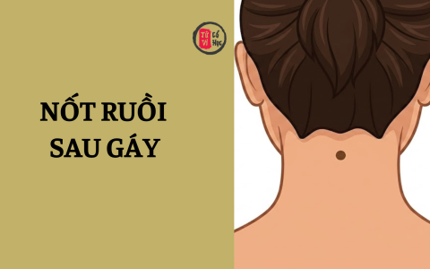 Nốt ruồi sau gáy có ý nghĩa gì? 14 Nốt ruồi sau gáy có ý nghĩa gì?