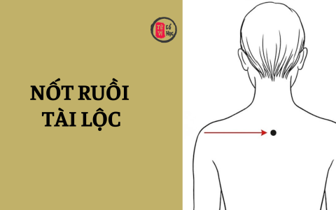 Nốt ruồi tài lộc là gì? Nốt ruồi tài lộc ở vị trí nào? 9 Nốt ruồi tài lộc là gì? Nốt ruồi tài lộc ở vị trí nào?