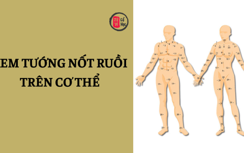 Phán đoán tính cách và vận mệnh qua vị trí nốt ruồi trên cơ thể 14 Phán đoán tính cách và vận mệnh qua vị trí nốt ruồi trên cơ thể