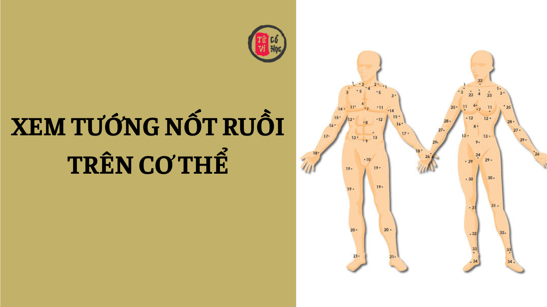 Phán đoán con người qua vị trí nốt ruồi trên cơ thể | Tử Vi Cổ Học