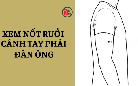 Nốt ruồi trên má có ý nghĩa gì? 2 Nốt ruồi trên má có ý nghĩa gì?