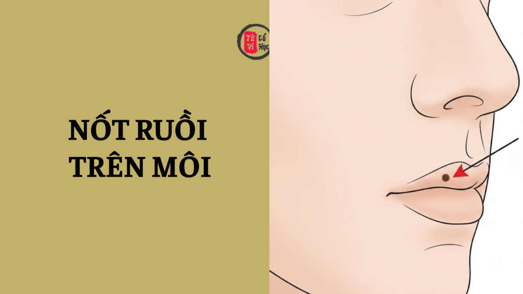 Nốt ruồi trên môi nói lên điều gì ở bạn | Tử Vi Cổ Học