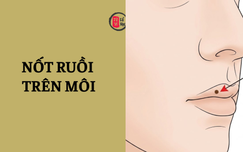 Nốt ruồi trên môi nói lên điều gì về bạn? 1 Nốt ruồi trên môi nói lên điều gì về bạn?