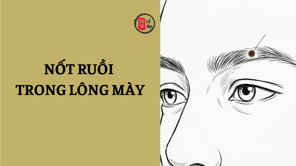 Xem tướng nốt ruồi trong lông mày 1 Xem tướng Nốt ruồi trong lông mày | Tử Vi Cổ Học
