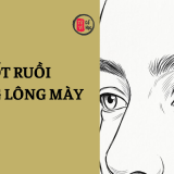 Xem tướng nốt ruồi trong lông mày 6 Xem tướng Nốt ruồi trong lông mày | Tử Vi Cổ Học