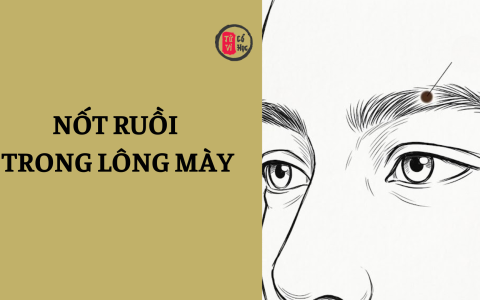 Xem tướng nốt ruồi trong lông mày 1 Xem tướng nốt ruồi trong lông mày