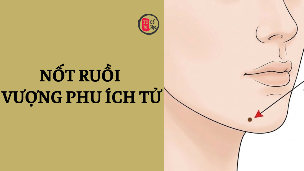 Nốt ruồi vượng phu ích tử là gì? 1 Nốt ruồi vượng phu ích tử có nghĩa là gì? | Tử Vi Cổ Học