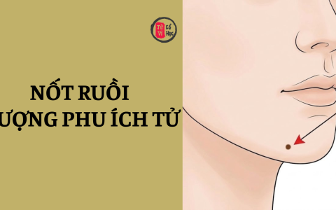 Nốt ruồi vượng phu ích tử là gì? 21 Nốt ruồi vượng phu ích tử là gì?