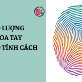 Số lượng hoa tay tiết lộ điều gì về tính cách và vận mệnh? | Tử Vi Cổ Học