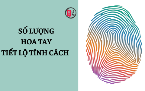 Số lượng hoa tay tiết lộ điều gì về tính cách và vận mệnh? 18 Số lượng hoa tay tiết lộ điều gì về tính cách và vận mệnh?