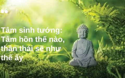 Tâm sinh tướng: Tâm hồn thế nào, thần thái sẽ như thế ấy 8 Tâm sinh tướng: Tâm hồn thế nào, thần thái sẽ như thế ấy