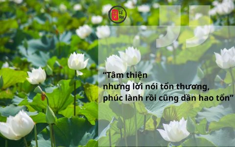 Tâm thiện nhưng lời nói tổn thương, phúc lành rồi cũng dần hao tổn 9 Tâm thiện nhưng lời nói tổn thương, phúc lành rồi cũng dần hao tổn