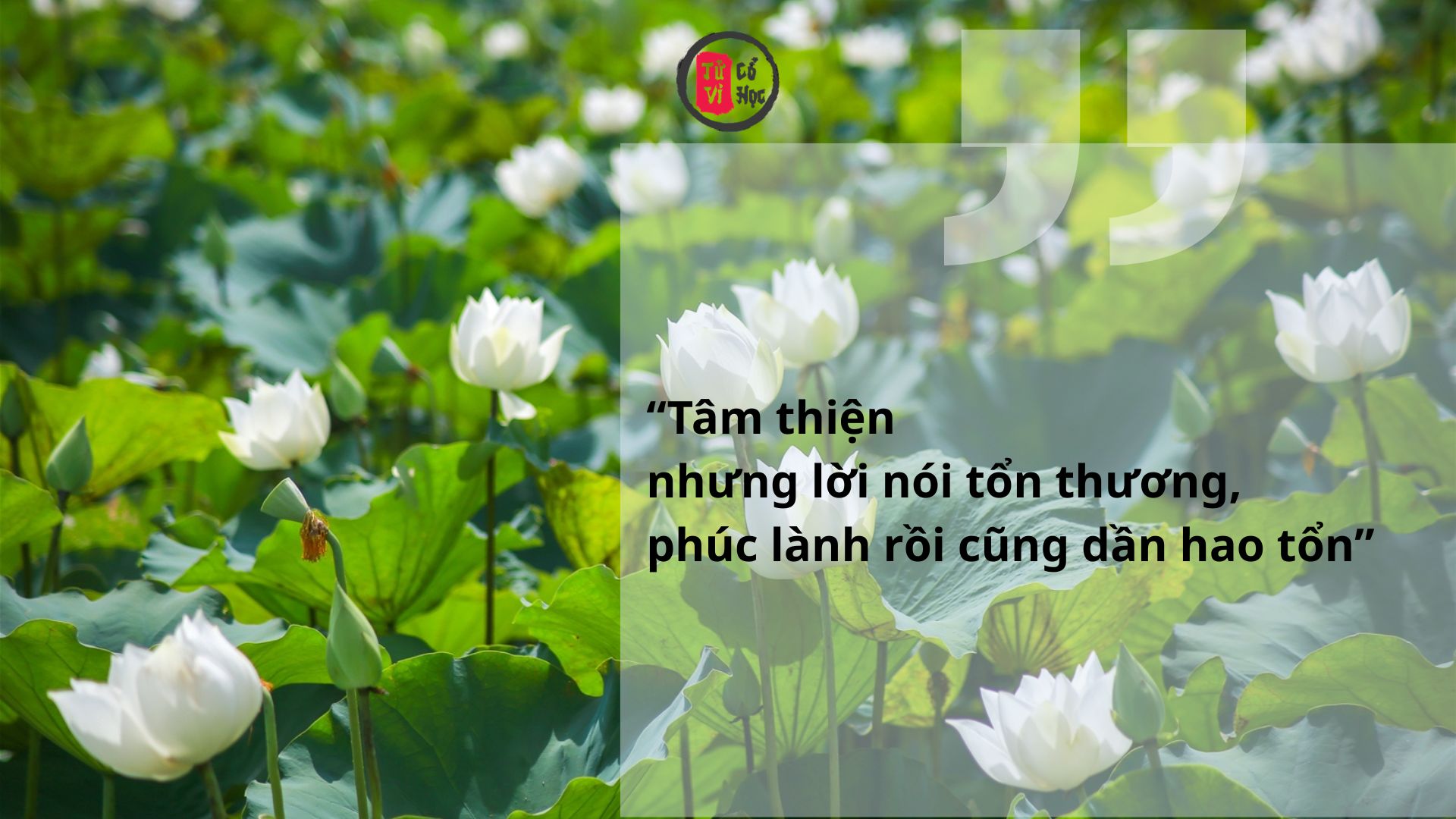 Tâm thiện nhưng lời nói tổn thương, phúc lành rồi cũng dần hao tổn | Tử Vi Cổ Học