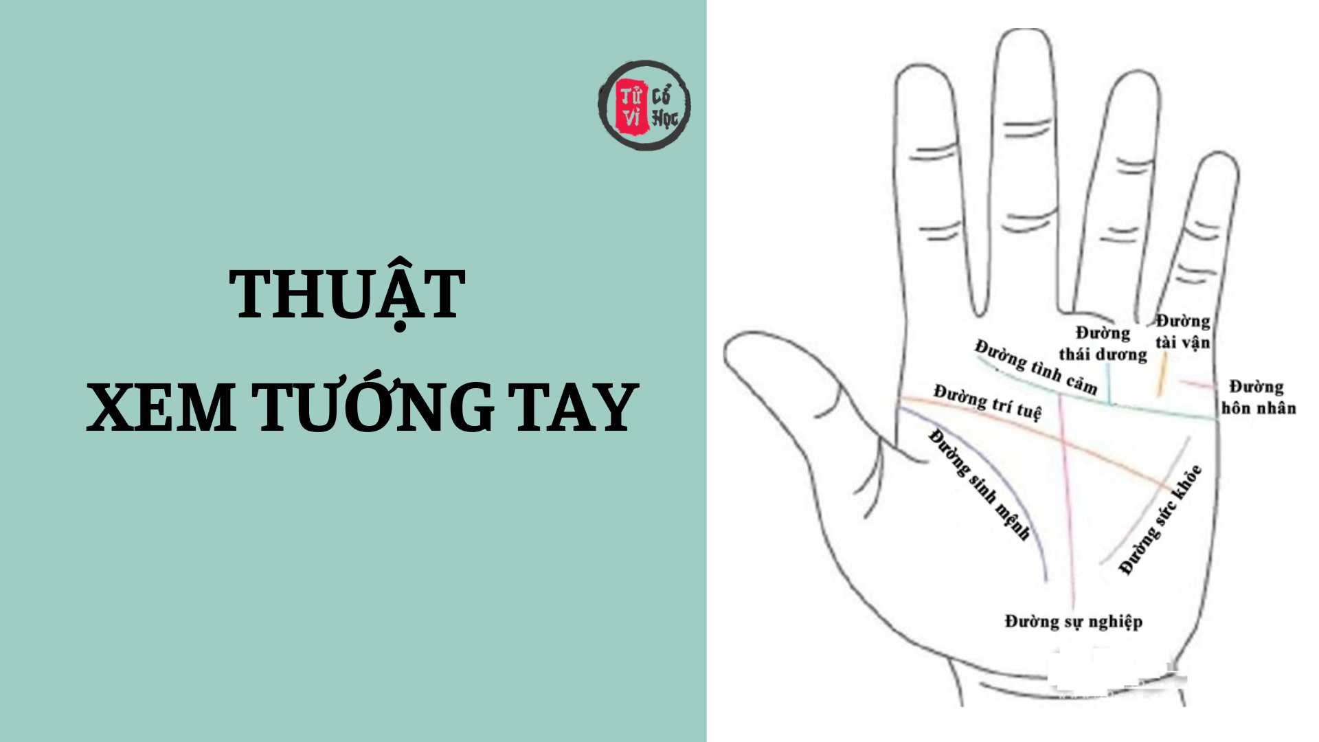 Kiến thức cơ bản trong thuật xem tướng tay 2 Kiến thức cơ bản trong thuật xem bói tướng tay | Tử Vi Cổ Học