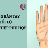 Tướng bàn tay gợi ý nghề nghiệp phù hợp 9 Tướng tay giúp bạn lựa chọn đúng nghành nghề | Tử Vi Cổ Học