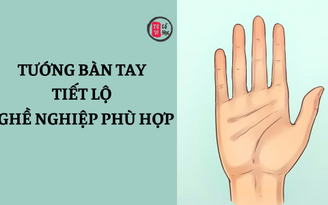 Tướng bàn tay gợi ý nghề nghiệp phù hợp 17 Tướng bàn tay gợi ý nghề nghiệp phù hợp