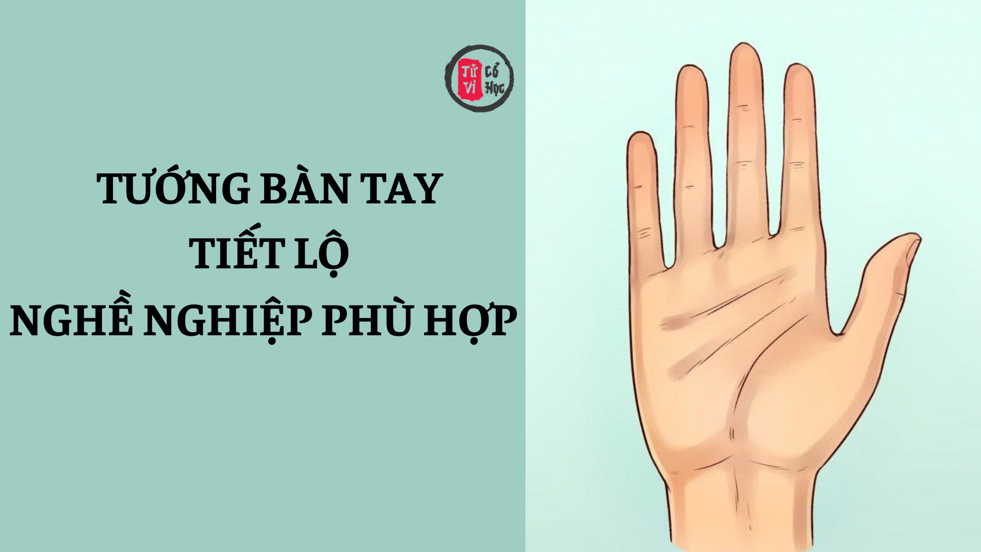 Tướng bàn tay gợi ý nghề nghiệp phù hợp 2 Tướng tay giúp bạn lựa chọn đúng nghành nghề | Tử Vi Cổ Học