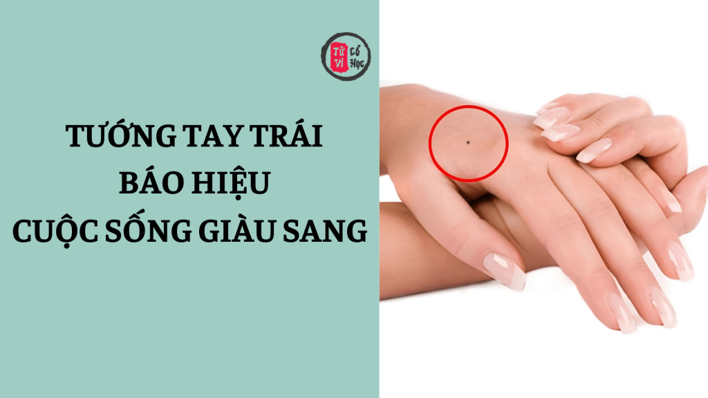Tướng bàn tay trái báo hiệu cuộc sống giàu sang 1 Tướng bàn tay trái báo hiệu cuộc sống giàu sang | Tử Vi Cổ Học