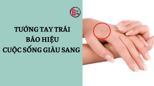Trang chủ 24 Tướng bàn tay trái báo hiệu cuộc sống giàu sang