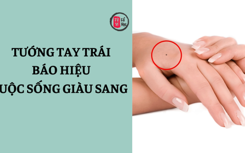 Tướng bàn tay trái báo hiệu cuộc sống giàu sang 21 Tướng bàn tay trái báo hiệu cuộc sống giàu sang