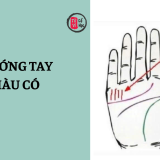 Xem bói đường chỉ tay giàu có – dấu hiệu nhận biết bàn tay phú quý 6 Xem bói đường chỉ tay giàu có trên bàn tay bạn | Tử Vi Cổ Học