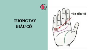 Trang chủ 18 Xem bói đường chỉ tay giàu có – dấu hiệu nhận biết bàn tay phú quý