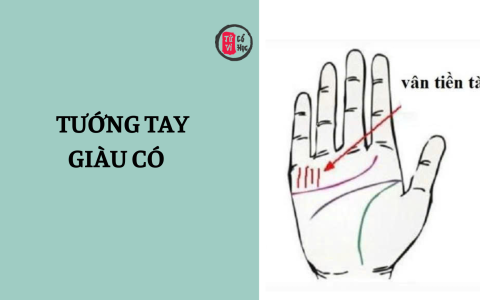 Xem bói đường chỉ tay giàu có – dấu hiệu nhận biết bàn tay phú quý 10 Xem bói đường chỉ tay giàu có – dấu hiệu nhận biết bàn tay phú quý