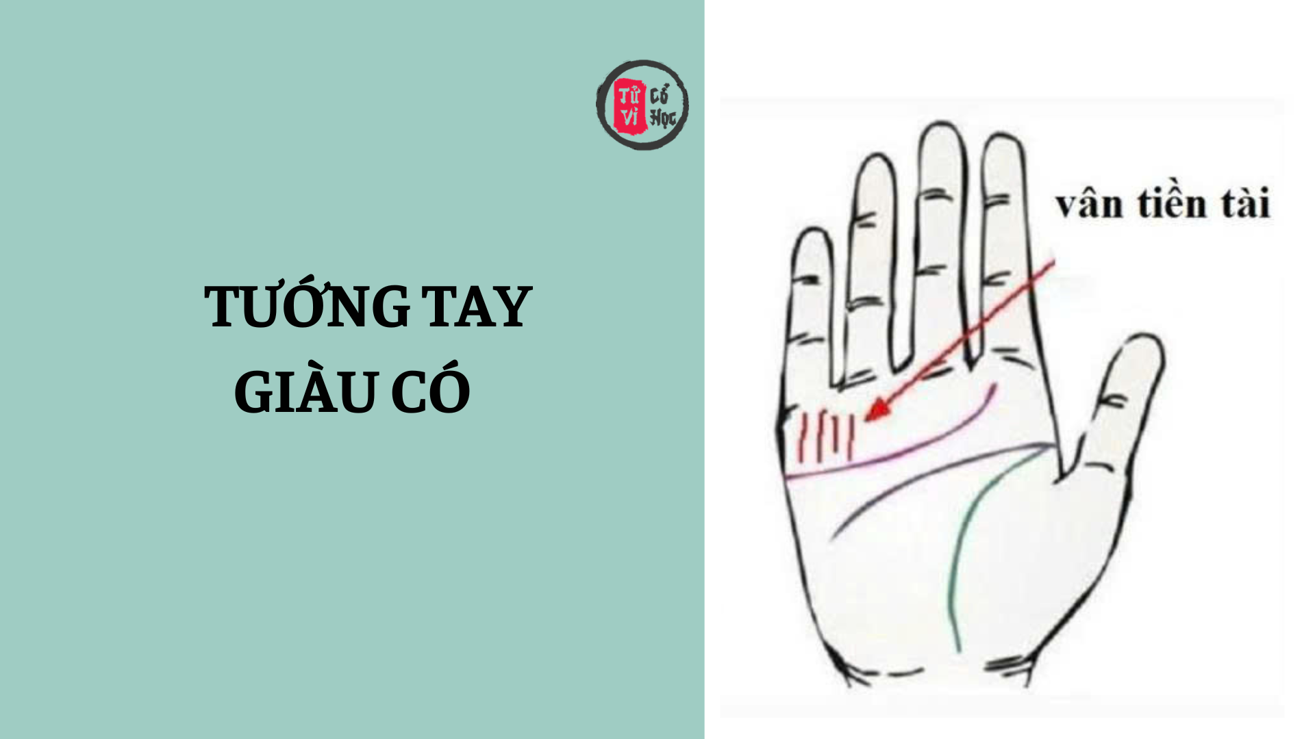 Xem bói đường chỉ tay giàu có – dấu hiệu nhận biết bàn tay phú quý 2 Xem bói đường chỉ tay giàu có trên bàn tay bạn | Tử Vi Cổ Học