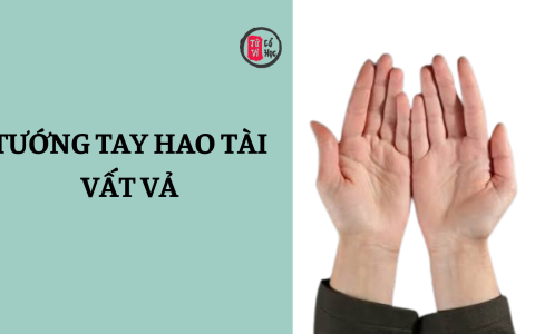 Nhận diện một số đặc điểm “tướng tay dễ hao tài, vất vả đường tiền bạc” 1 Nhận diện một số đặc điểm “tướng tay dễ hao tài, vất vả đường tiền bạc”