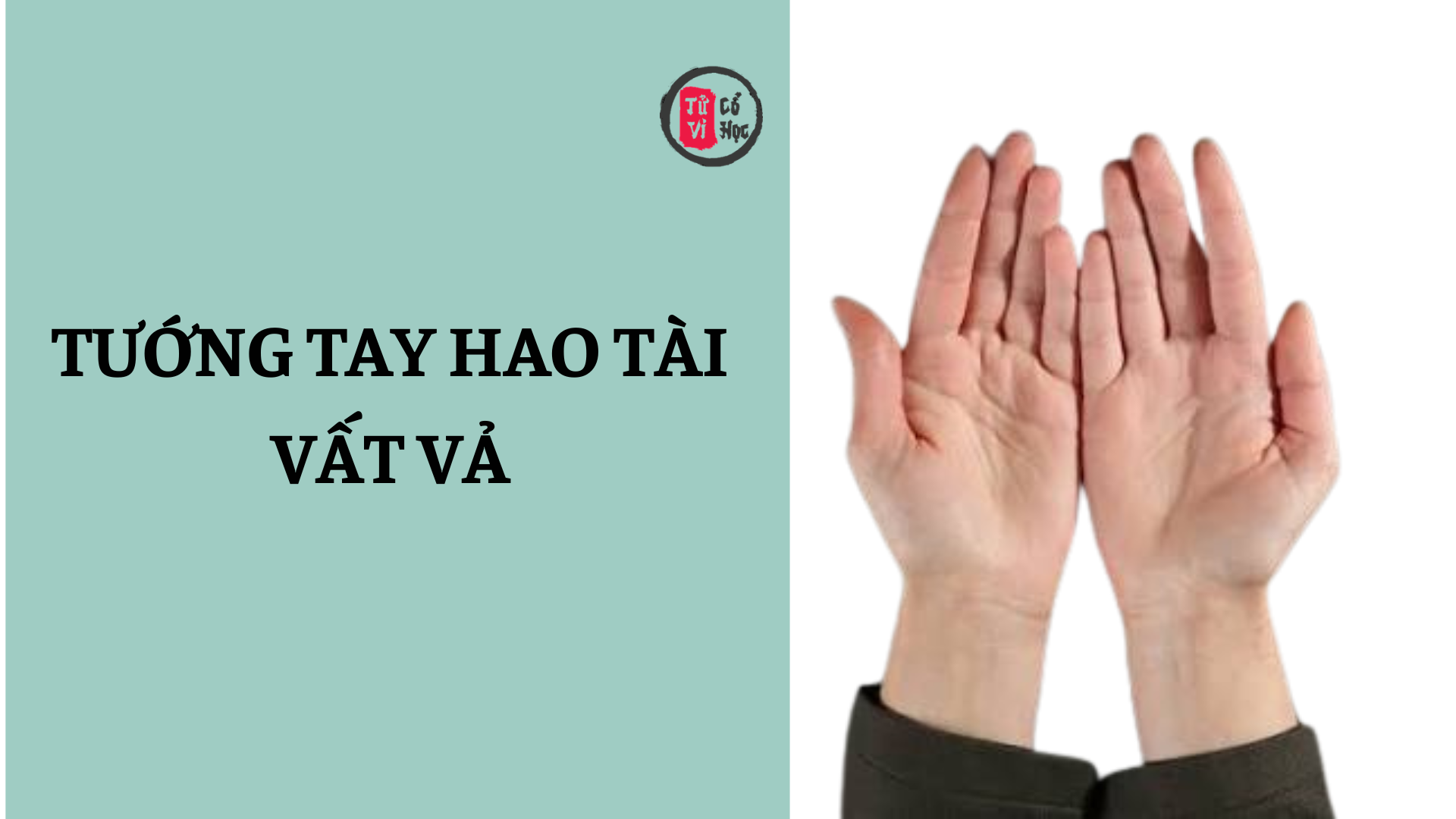 Nhận diện một số đặc điểm “tướng tay dễ hao tài, vất vả đường tiền bạc” theo nhân tướng học | Tử Vi Cổ Học