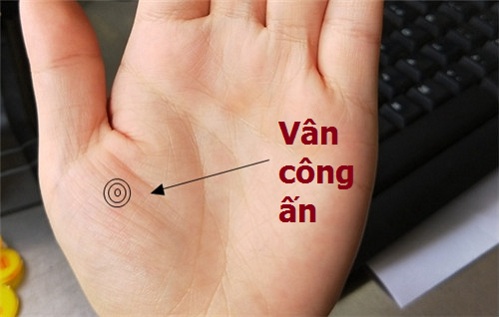9 đường vân tay báo hiệu tài lộc dồi dào, cuộc sống giàu sang 6 van cong an 1