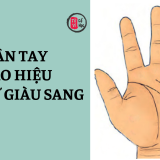 Phụ nữ sở hữu những đường vân tay này – dấu hiệu giàu sang, phú quý | Tử Vi Cổ Học