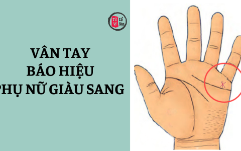 Những vân tay báo hiệu phụ nữ giàu sang giàu sang, phú quý 1 Những vân tay báo hiệu phụ nữ giàu sang giàu sang, phú quý