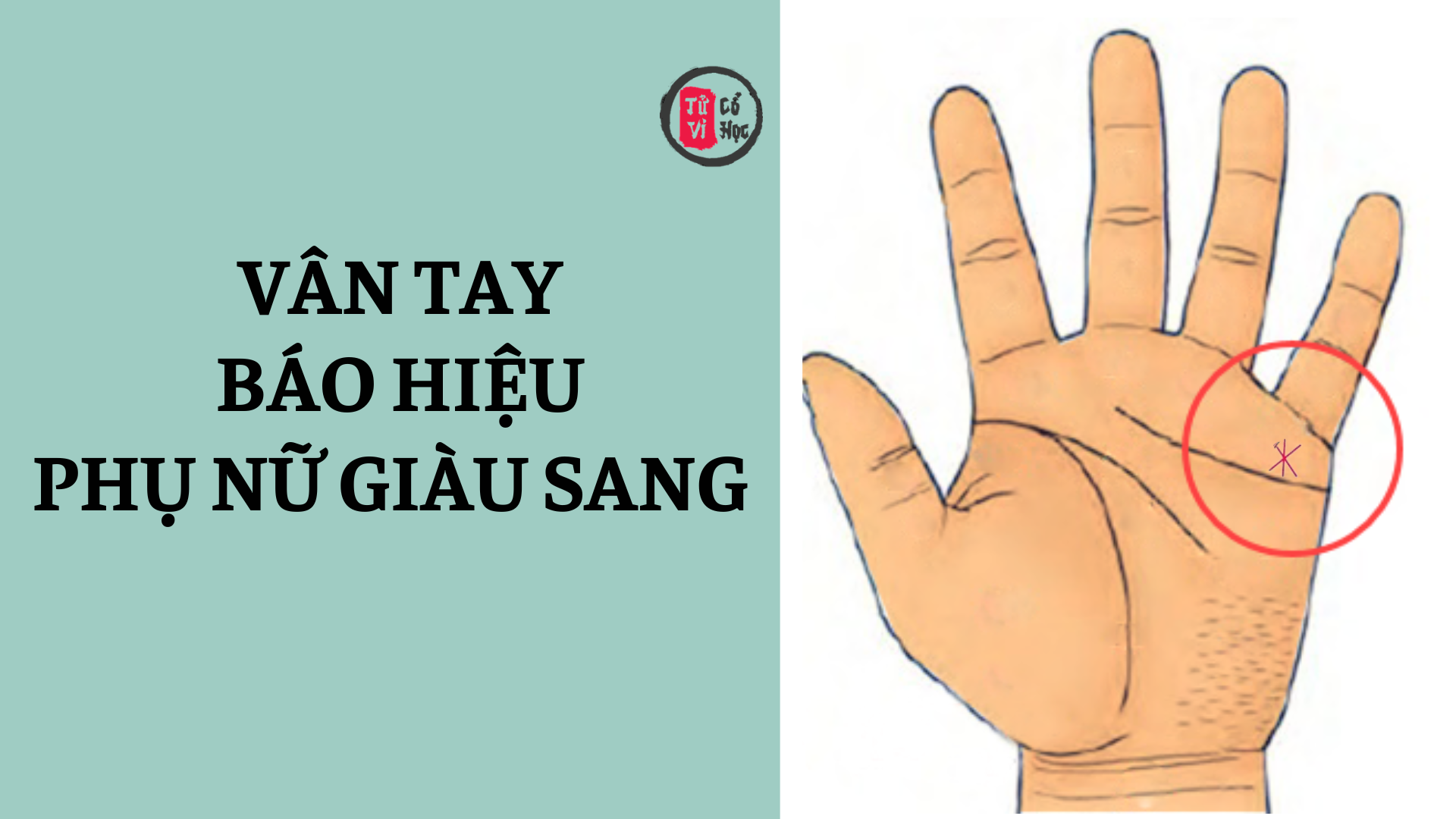 Những vân tay báo hiệu phụ nữ giàu sang giàu sang, phú quý 2 Phụ nữ sở hữu những đường vân tay này – dấu hiệu giàu sang, phú quý | Tử Vi Cổ Học